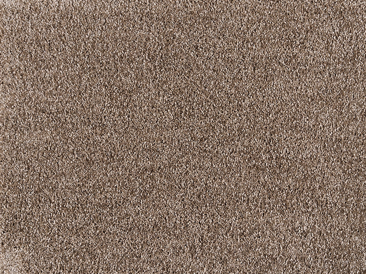 Embrace Carpet