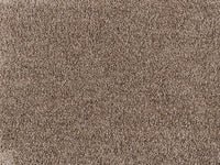 Embrace Carpet