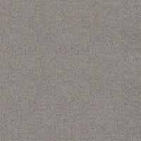 Spectrum Twist Classic 42oz Carpet