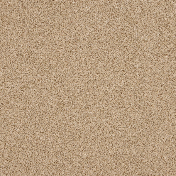 Westbourne Berber Carpet
