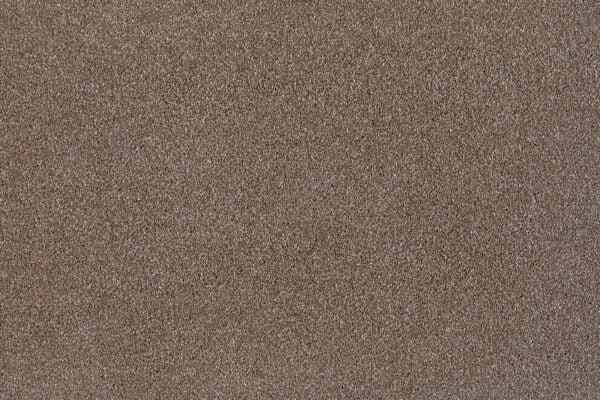 Verviers Carpet