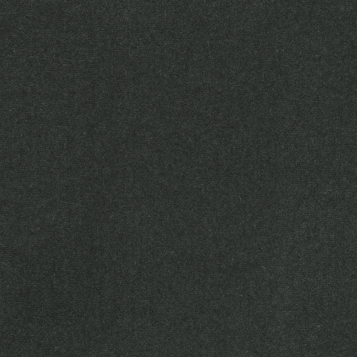 Royal Velvet Carpet