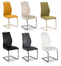 Irma Dining Chairs (pair) - Various Colours Available