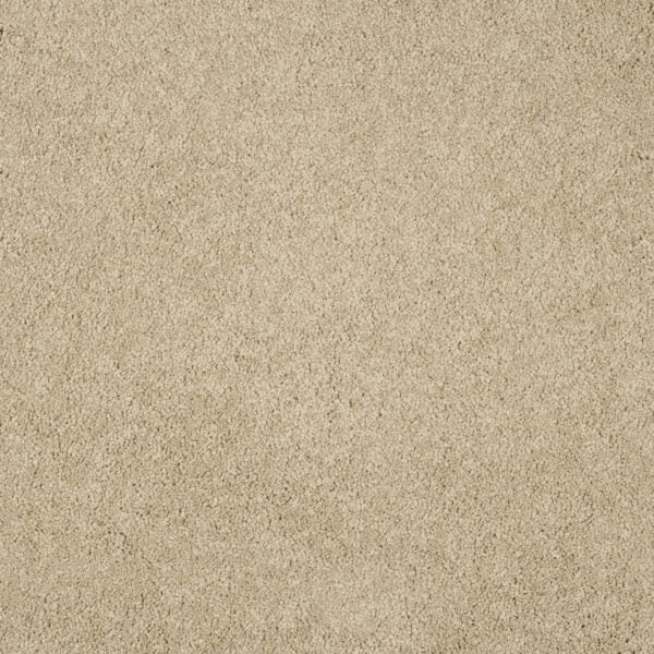 Magical Feeling Carpet