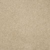 Magical Feeling Carpet