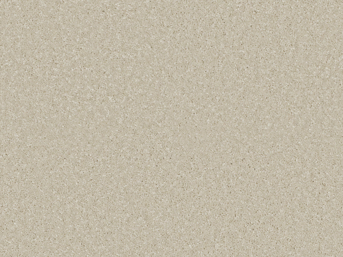Elegante Carpet