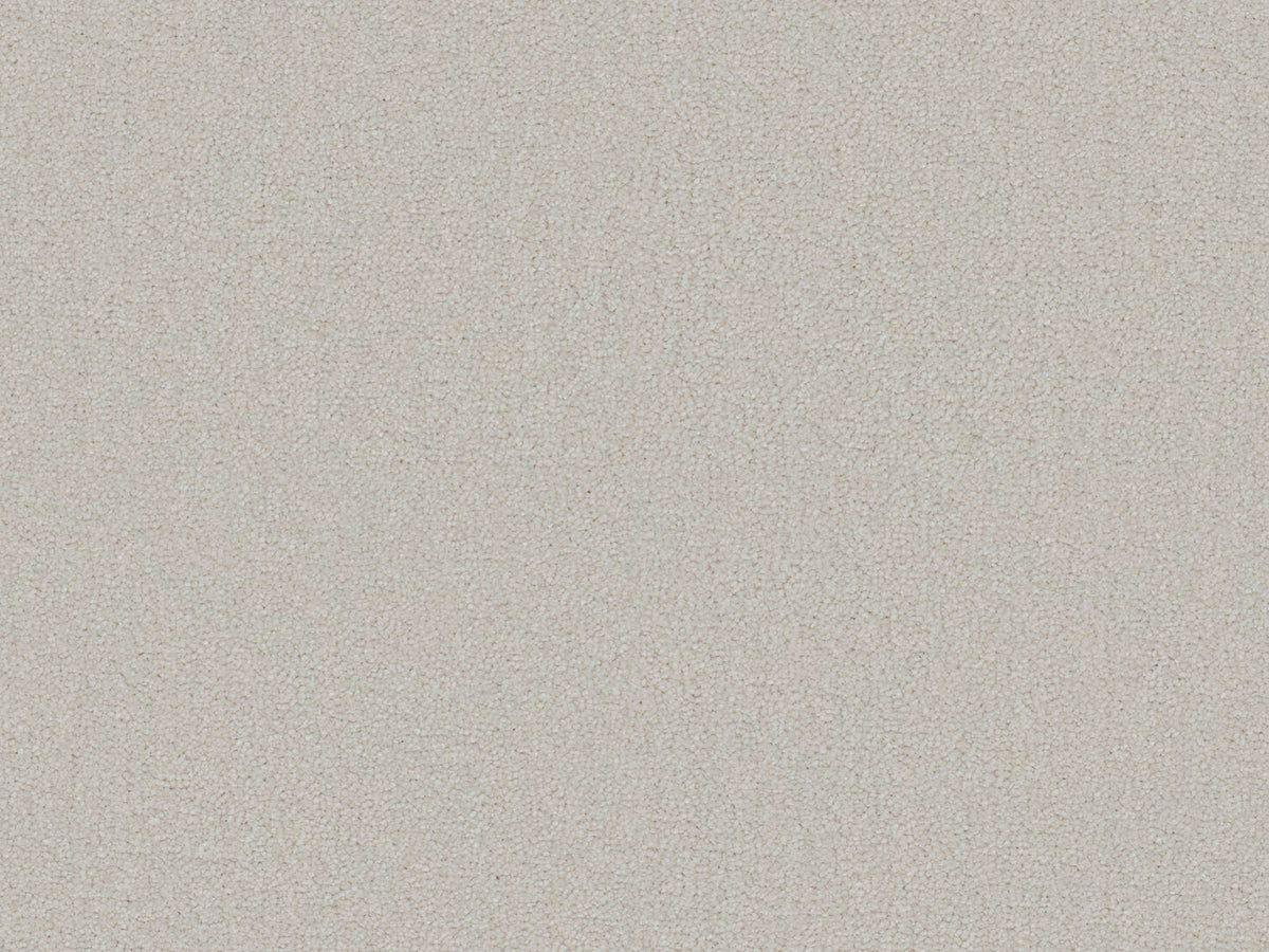 Terra Rosa Carpet