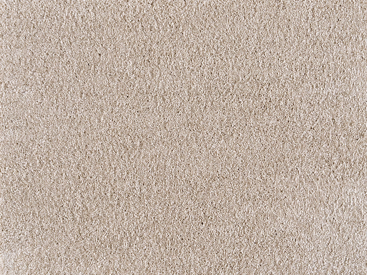 Embrace Carpet