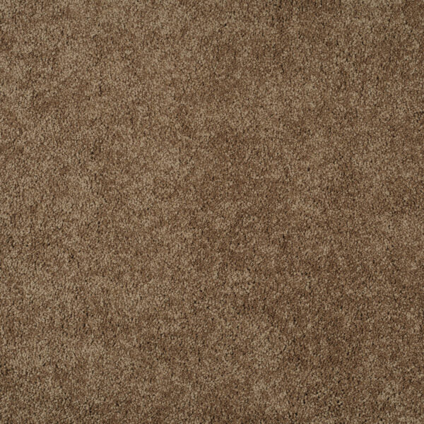 Magical Feeling Carpet