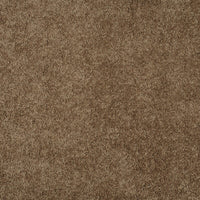 Magical Feeling Carpet