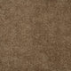 Magical Feeling Carpet