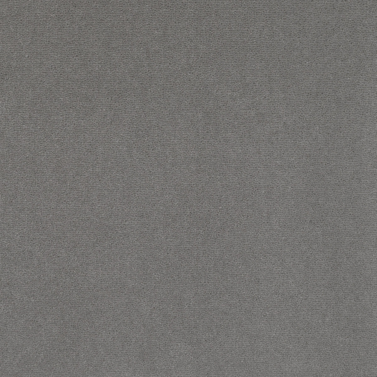 Royal Velvet Carpet