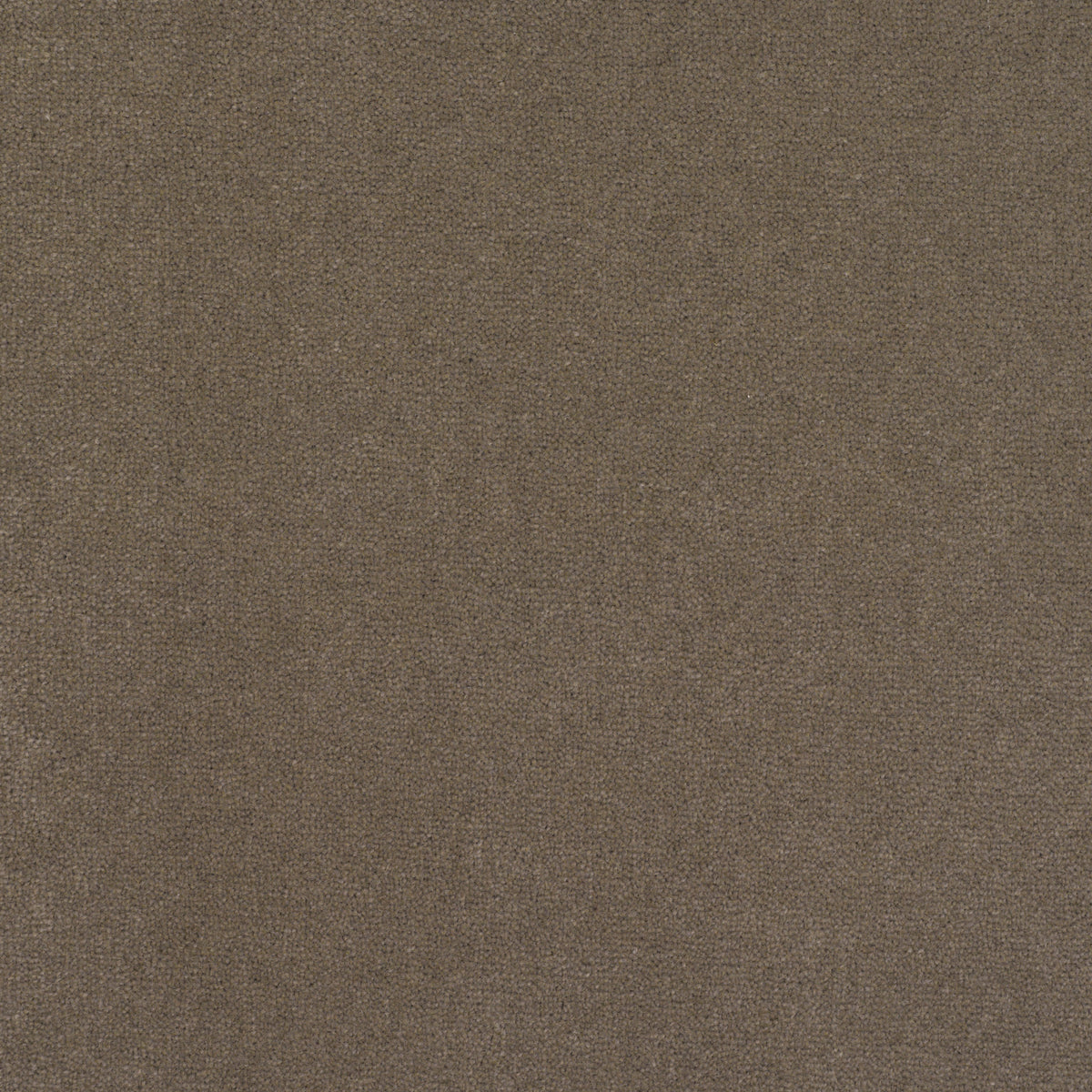 Royal Velvet Carpet