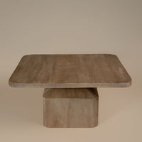 Remy Living Collection - Mango Wood