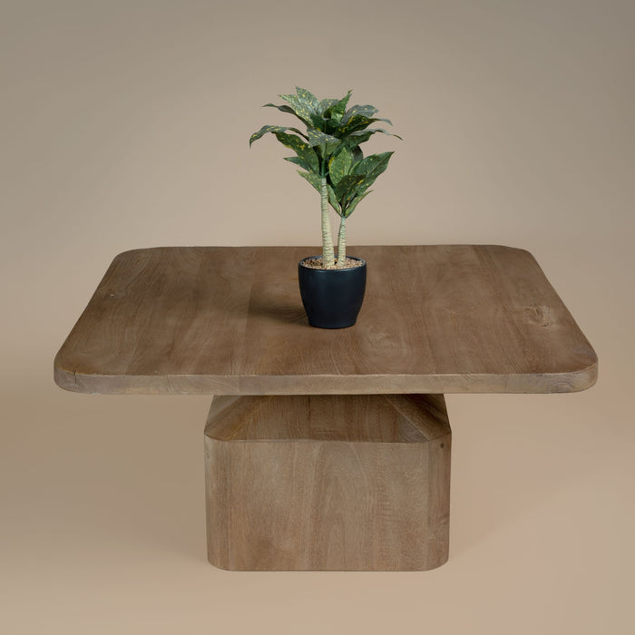 Remy Living Collection - Mango Wood
