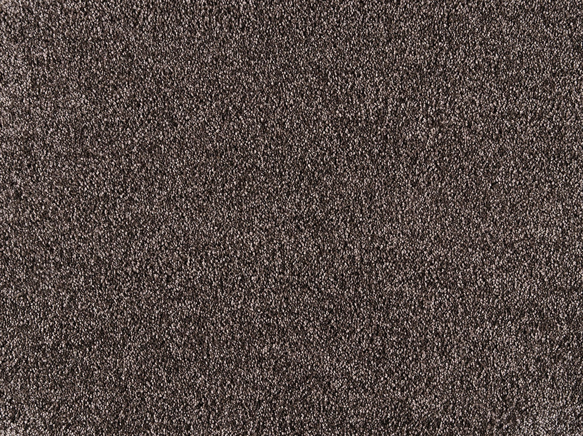 Embrace Carpet