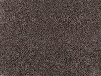 Embrace Carpet