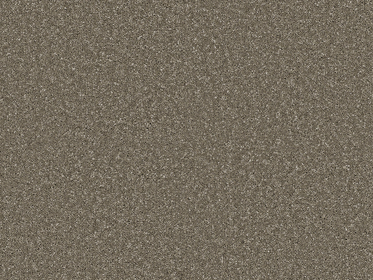 Chic Carpet