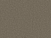 Chic Carpet