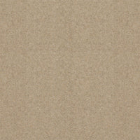 Spectrum Twist Regal 53oz Carpet