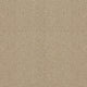 Spectrum Twist Regal 53oz Carpet