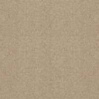 Spectrum Twist Classic 42oz Carpet
