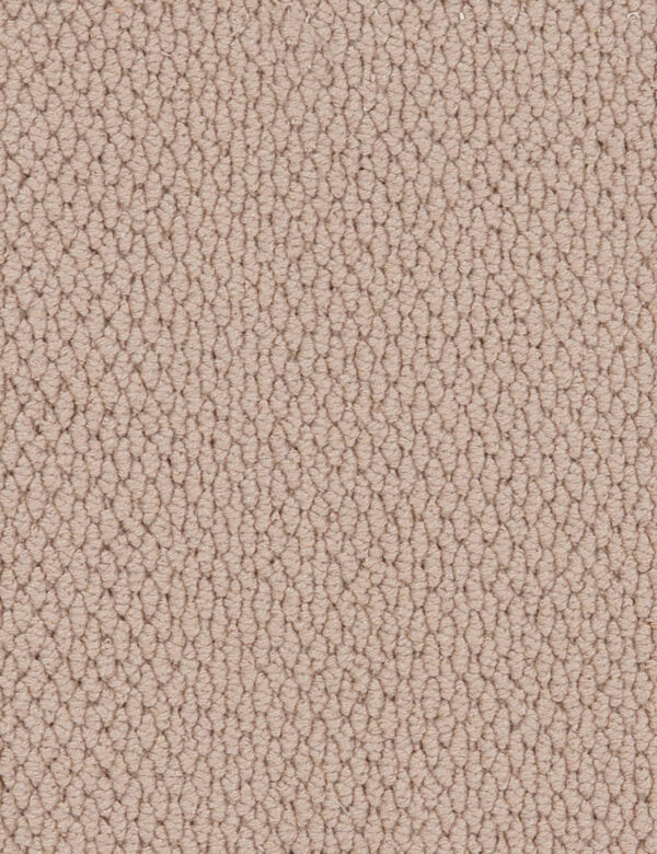 Altere Carpet