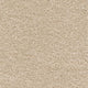 Sirius Carpet