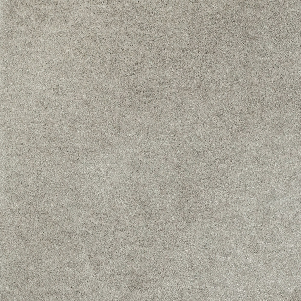 iSense Obsession Carpet