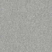 Seta Carpet