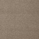 iSense Subtlety Carpet
