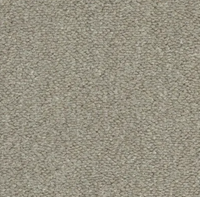 Seta Carpet