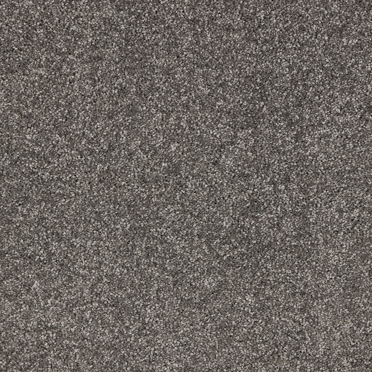 Opulent Living Carpet