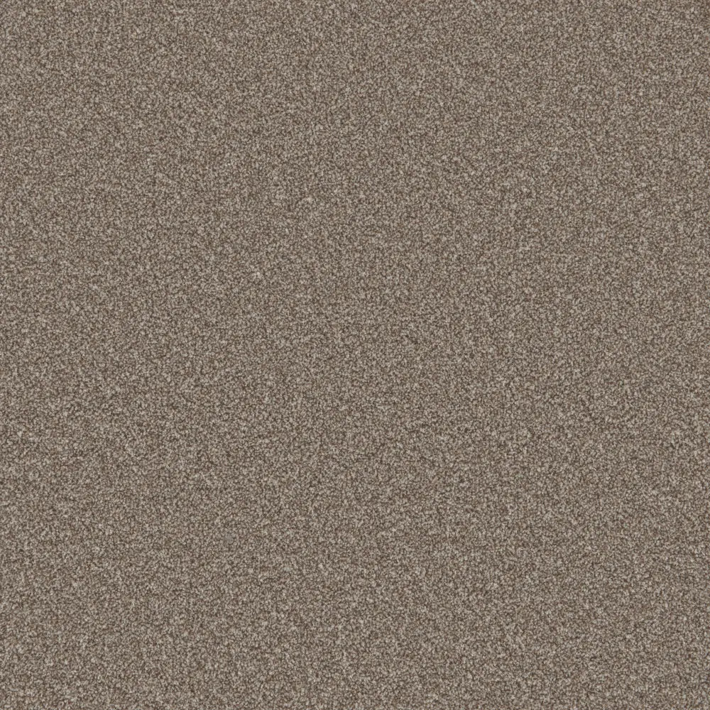 Trident Heathers Carpet