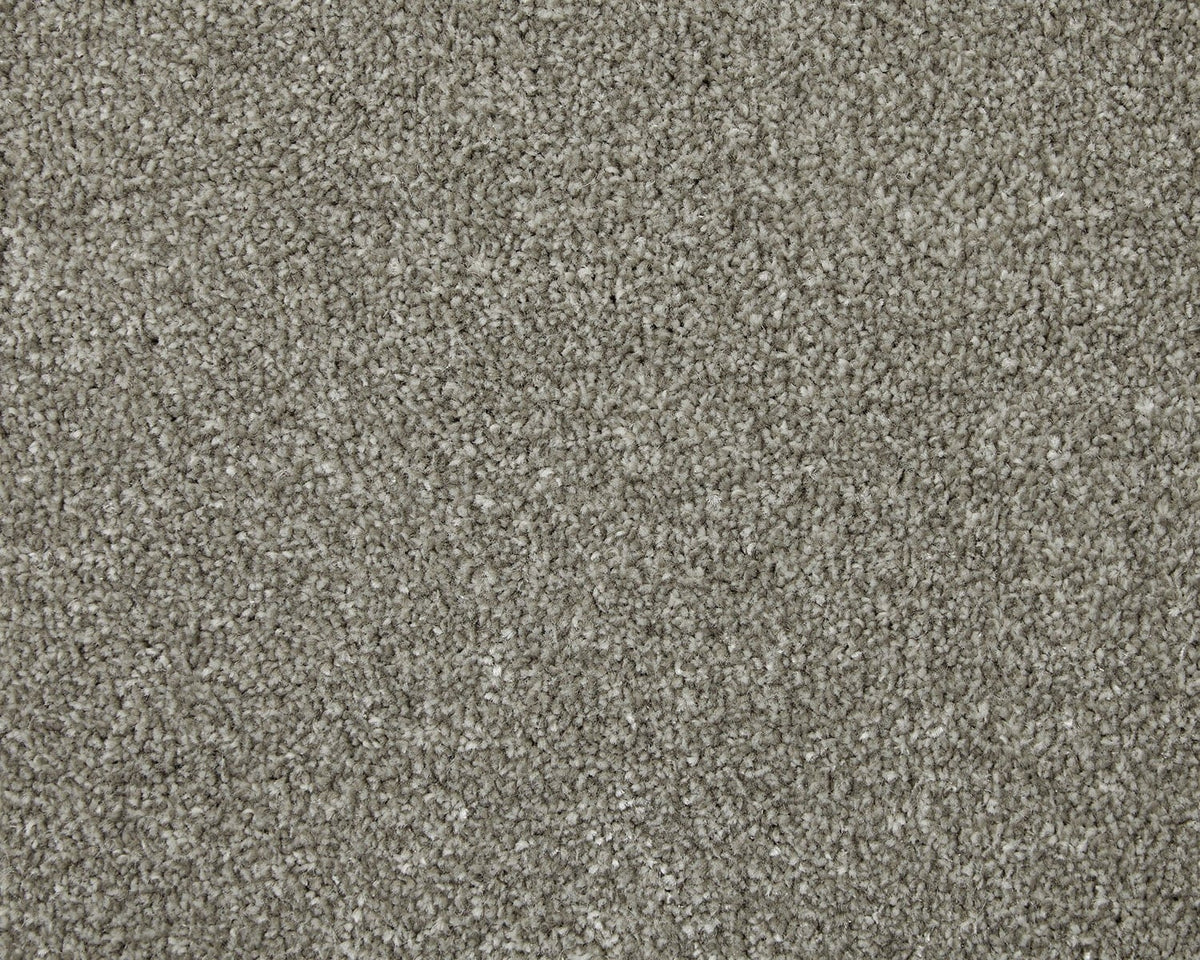 Trojan Elite Carpet