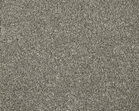 Trojan Elite Carpet