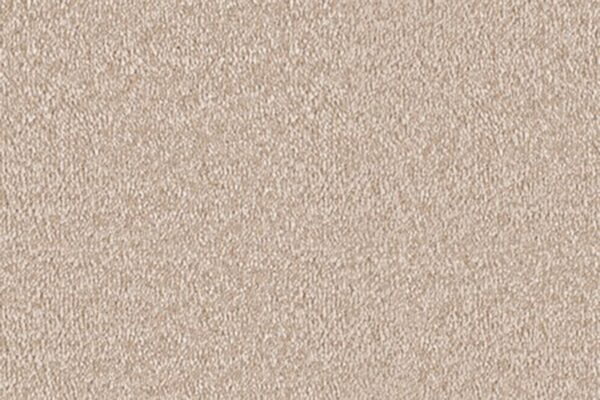 Delight Carpet