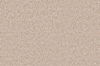 Delight Carpet