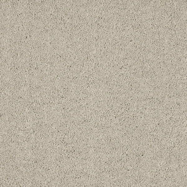 Seduction Carpet