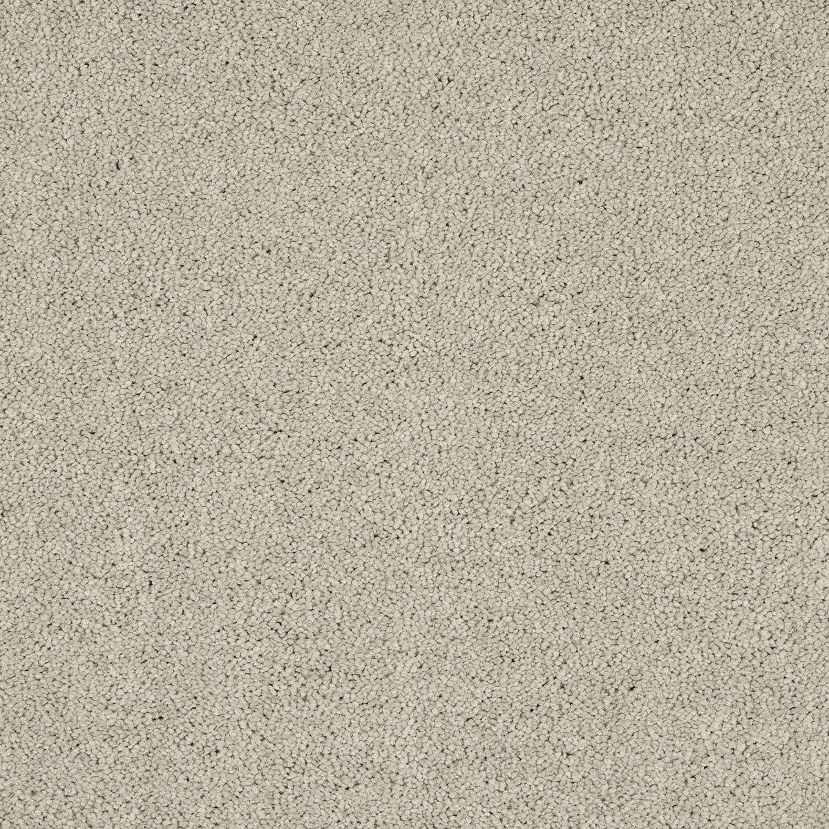 Opulent Living Carpet