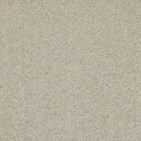 Opulent Living Carpet