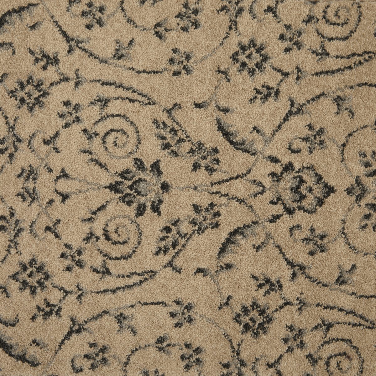 Barrisdale Bay Carpet