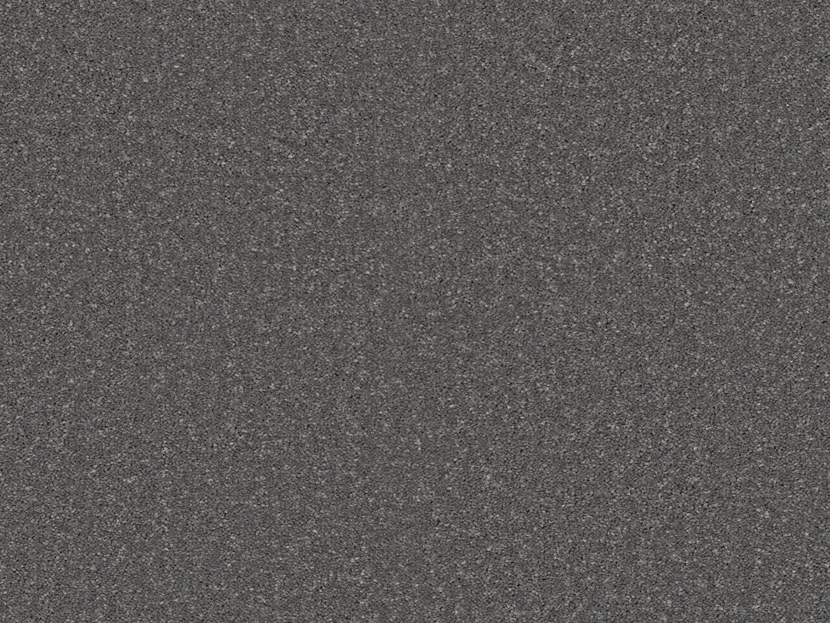 Chic Carpet