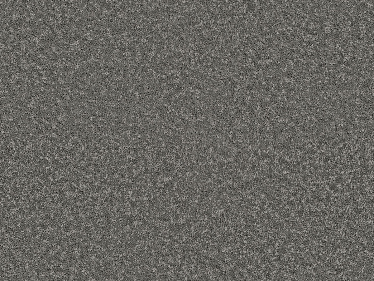 Elegante Carpet