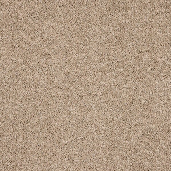 Seduction Carpet