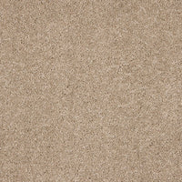 Seduction Carpet