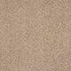 Seduction Carpet