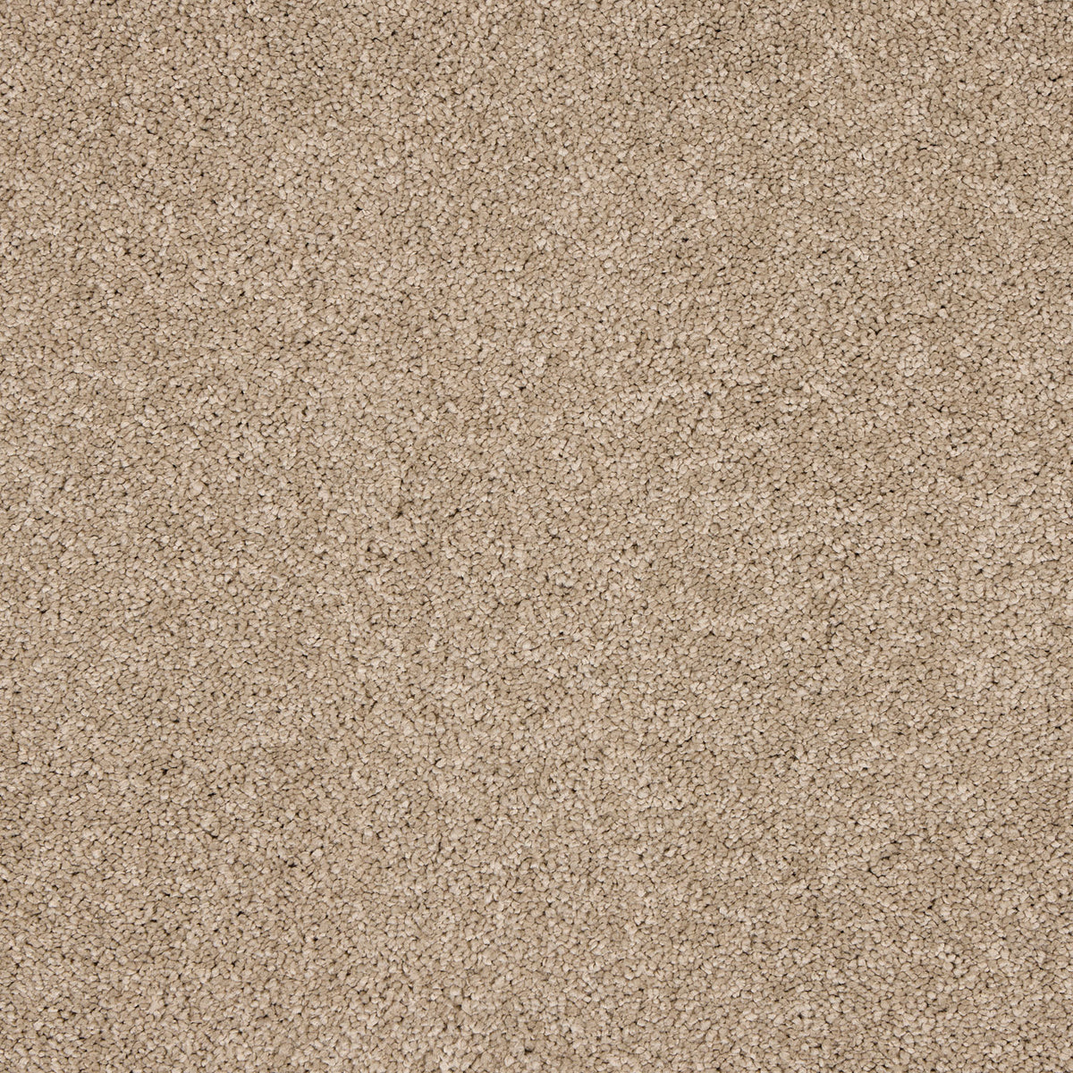 Opulent Living Carpet