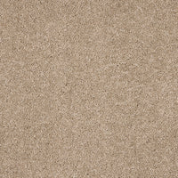 Opulent Living Carpet