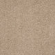Opulent Living Carpet